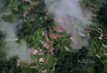 Agriculture Research Station Pakhribas, Dhankuta